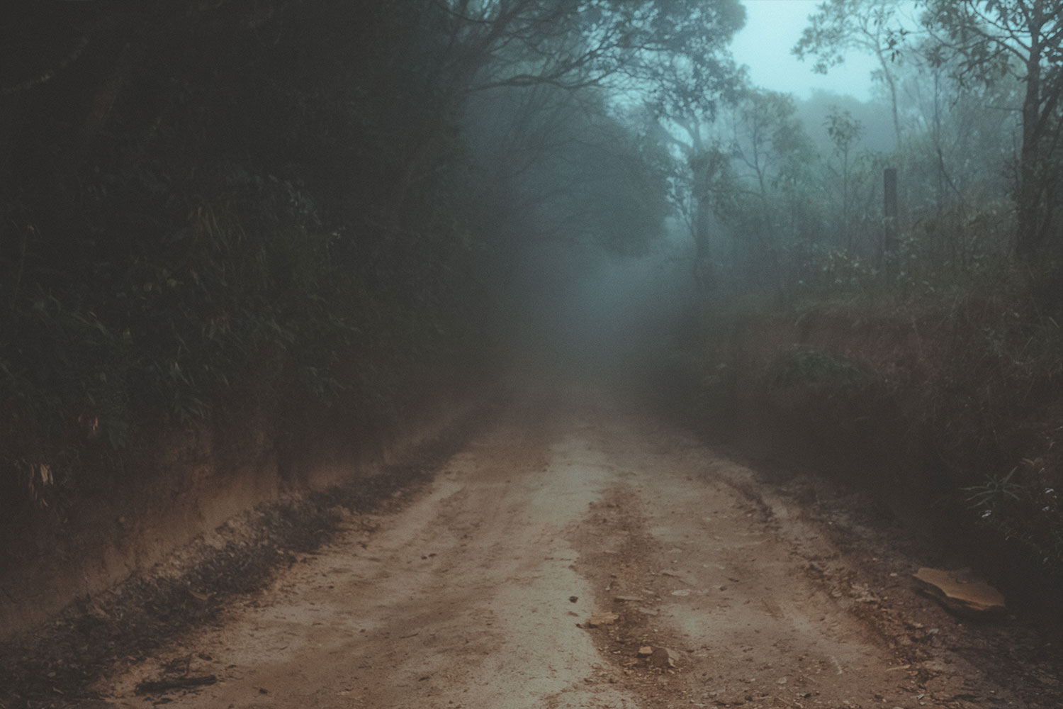 The gospel of peter apologetics