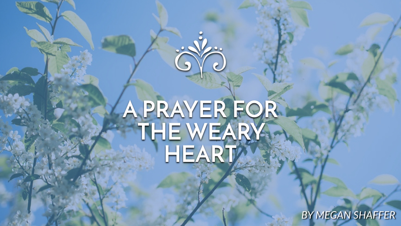 Prayer for the weary heart