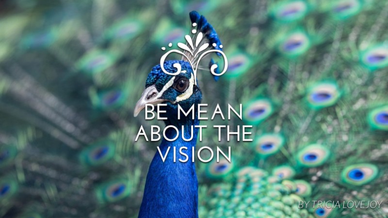 Be mean about the vision