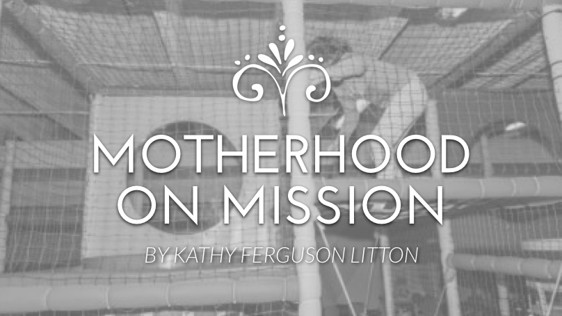 Motherhood on Mission