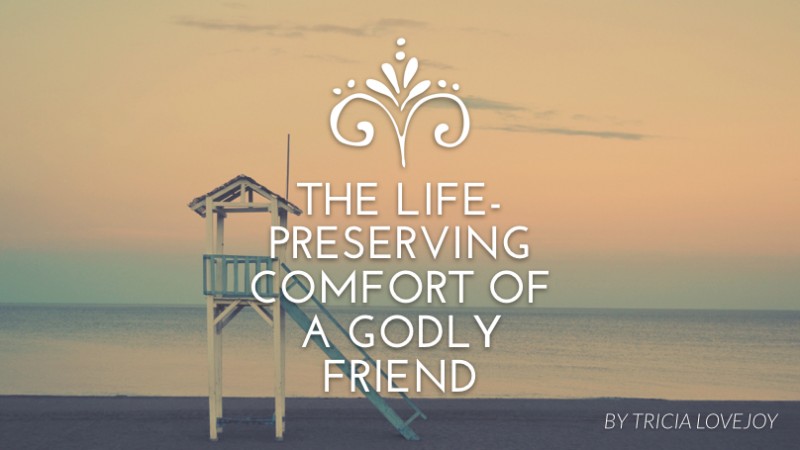 The life-preserving comfort of a godly friend