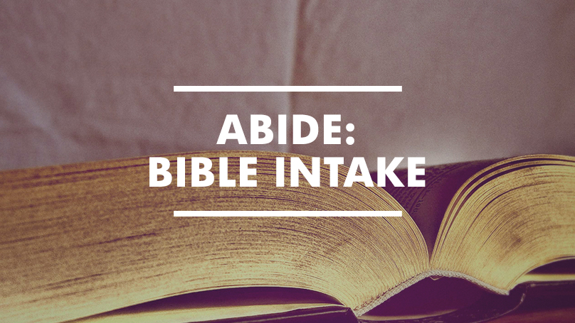 Abide: Bible Intake