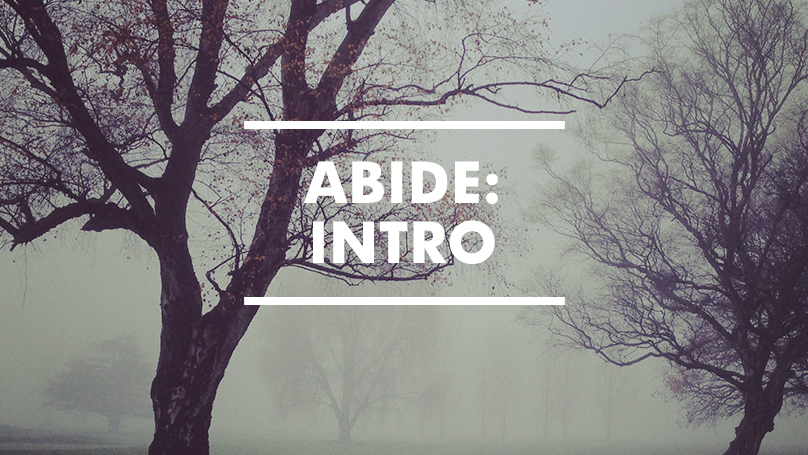 Abide: Introduction to John 15:5