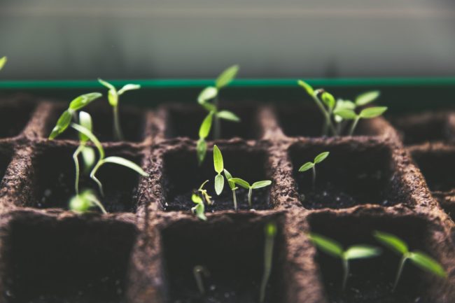 4 Things Our Small Church Did To Multiply