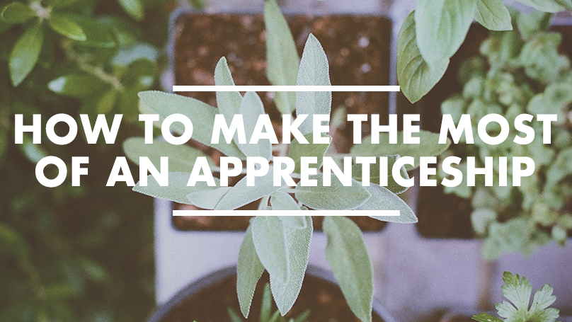 How to make the most of an apprenticeship at your church