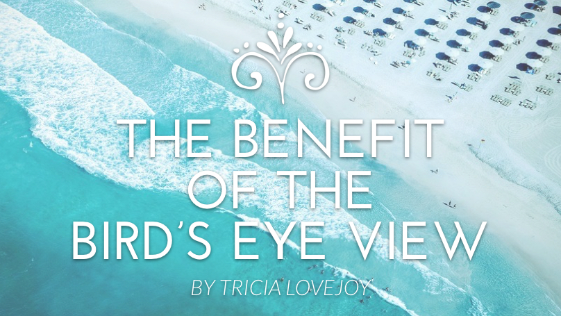 The Benefit of the Bird’s Eye View