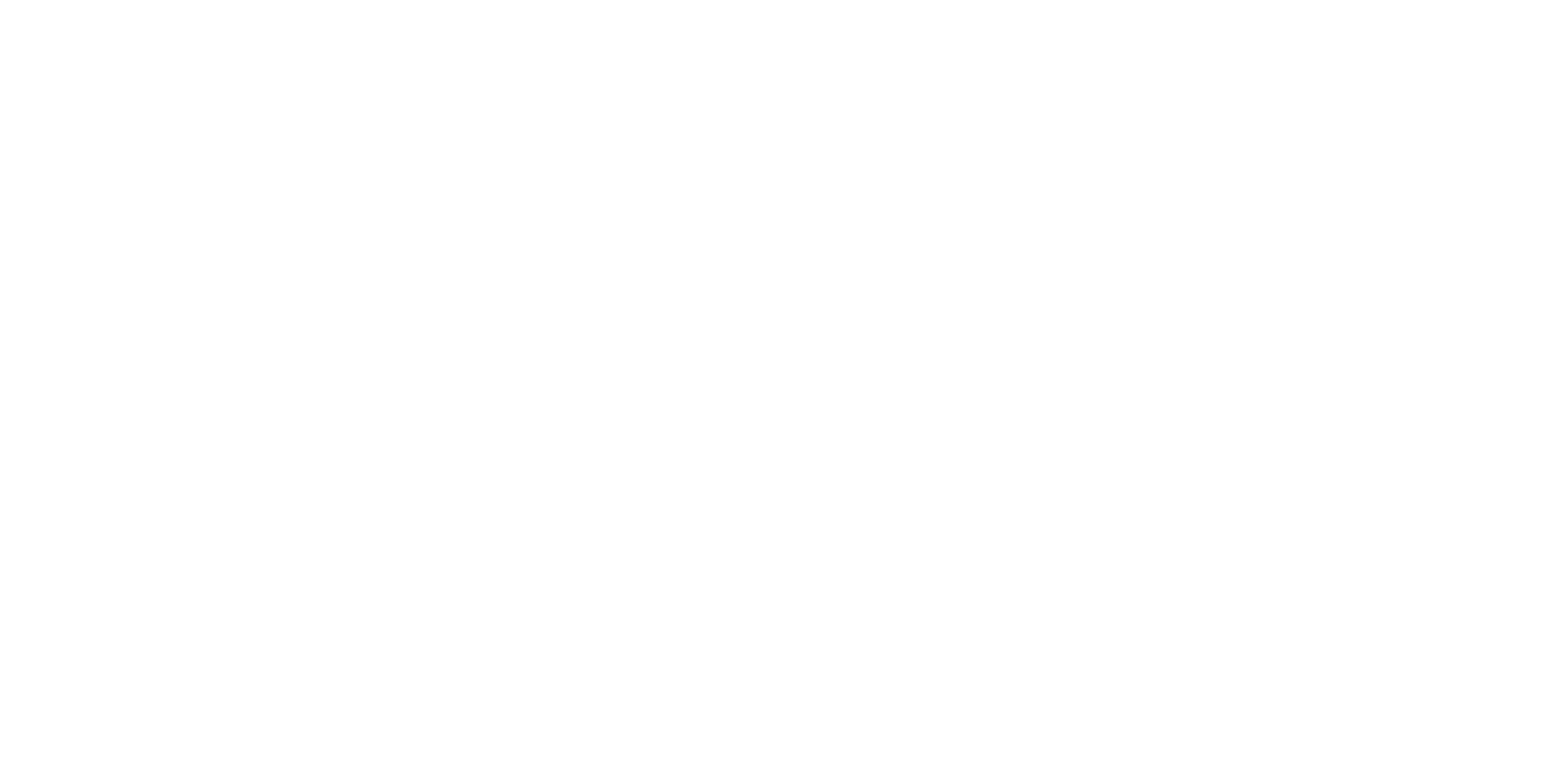 SN_SN One Day Logo_White