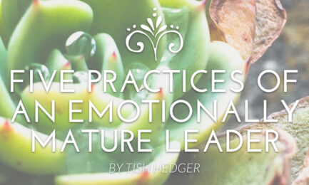 emotionally mature leader