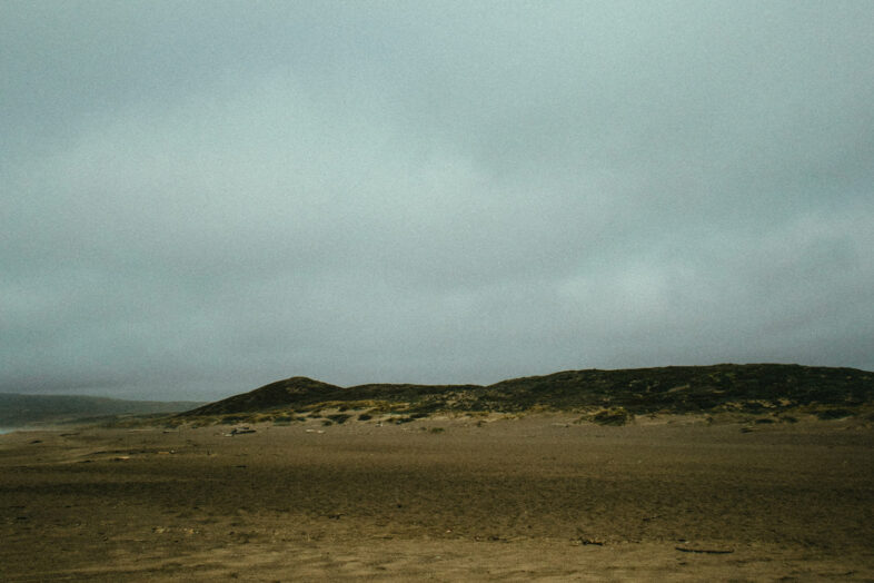 15.pexels athena 3002111