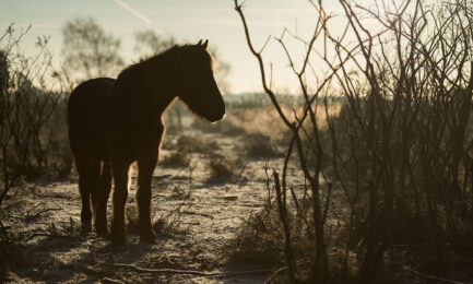annie spratt 4j138WE0fls unsplash