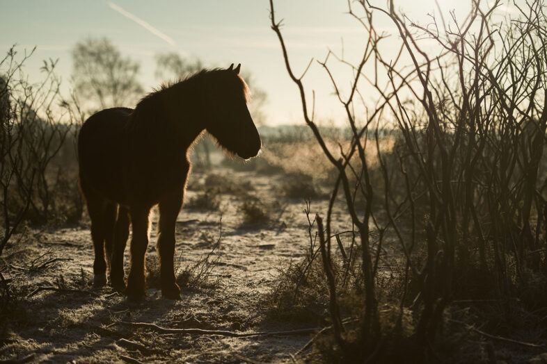 annie spratt 4j138WE0fls unsplash