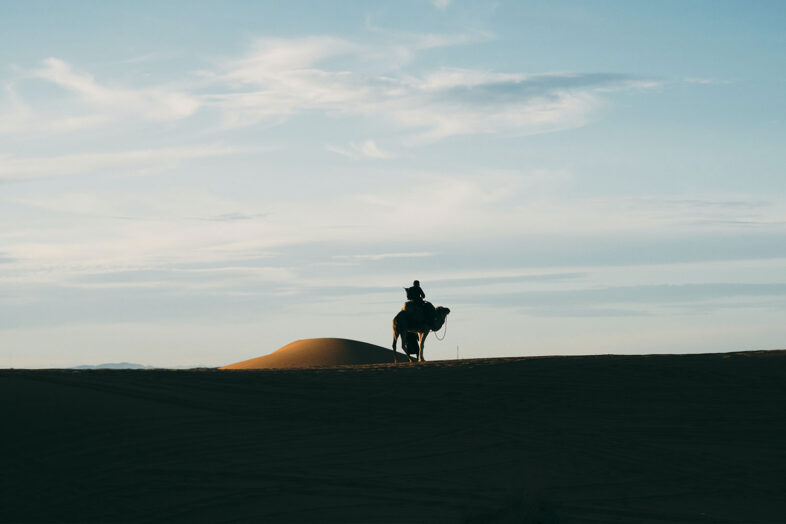 pexels tyler wang 3871116