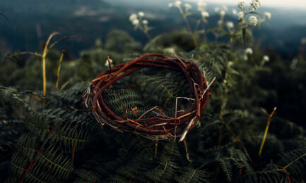 samuel lopes Ip5pvMPwlyo unsplash