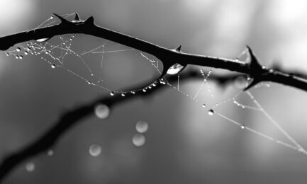 pexels susanne jutzeler 5891396