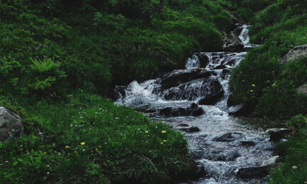oleksandra bardash 9fqMbeny89c unsplash