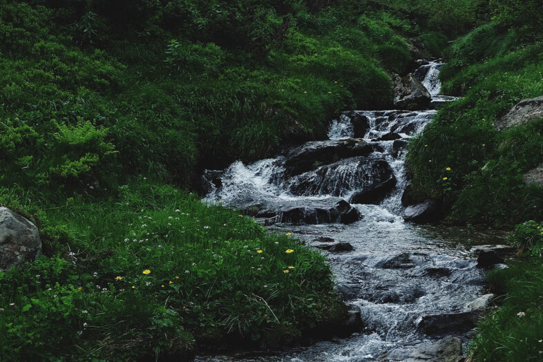 oleksandra bardash 9fqMbeny89c unsplash