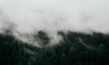 12.pexels eberhard grossgasteiger 1292115