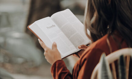 joel muniz XqXJJhK c08 unsplash