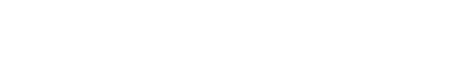namb-acronym-white-smaller