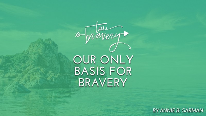 Our only basis for bravery