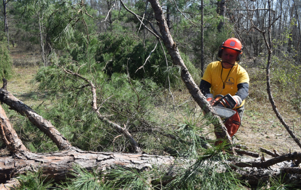 Disaster Relief Appreciation Day set for Nov. 10