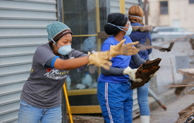 Sandy rebuild brings Spring Break students