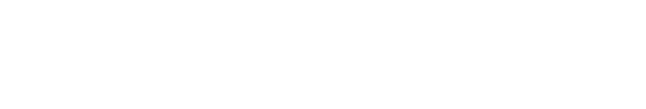 namb acronym white smaller