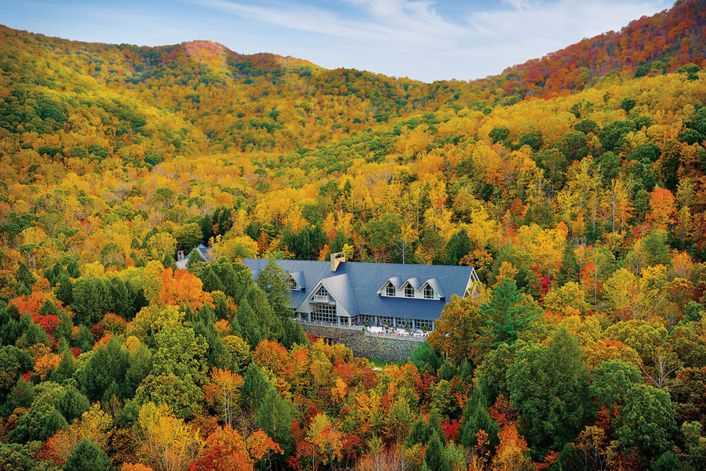 Refresh Retreat: The Cove