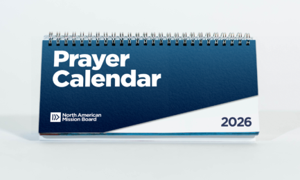2611 N Calendar Store Thumb Cover