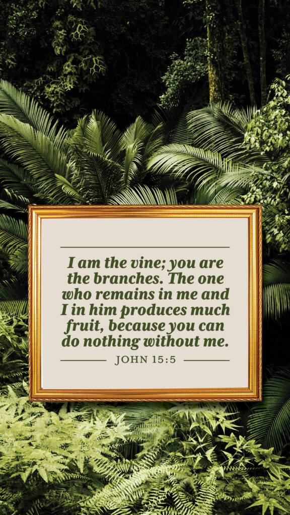 John 15:5 Phone Wallpaper