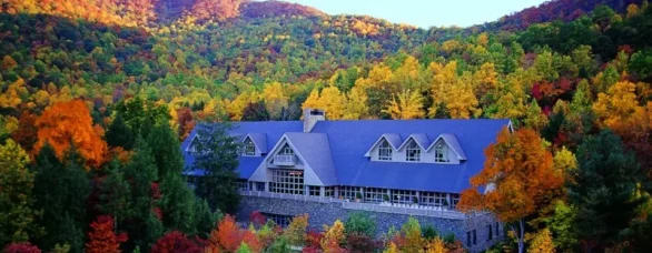 the cove