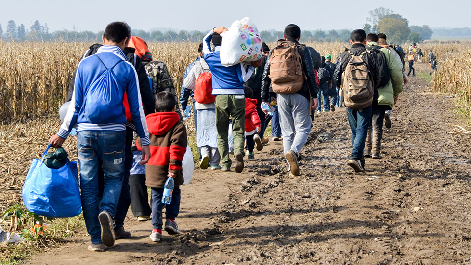 Refugee Crisis: Why, Where and What You Can Do